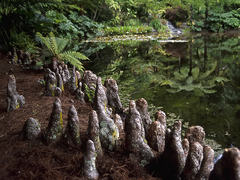 Australia and New Zealand's Coolest Gardens