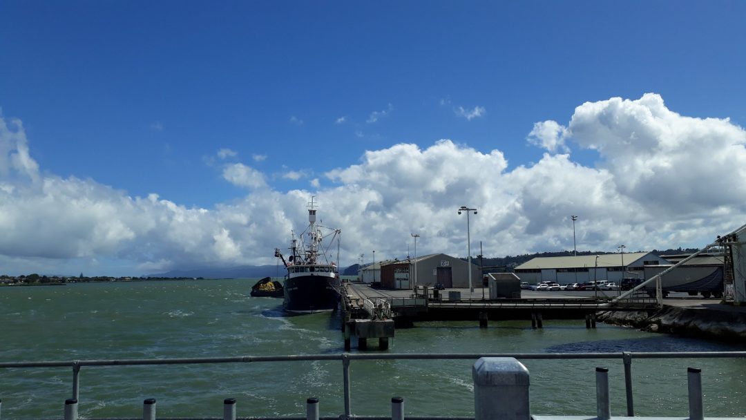 A view onto Manukau harbour while crossing Mangere Bridge