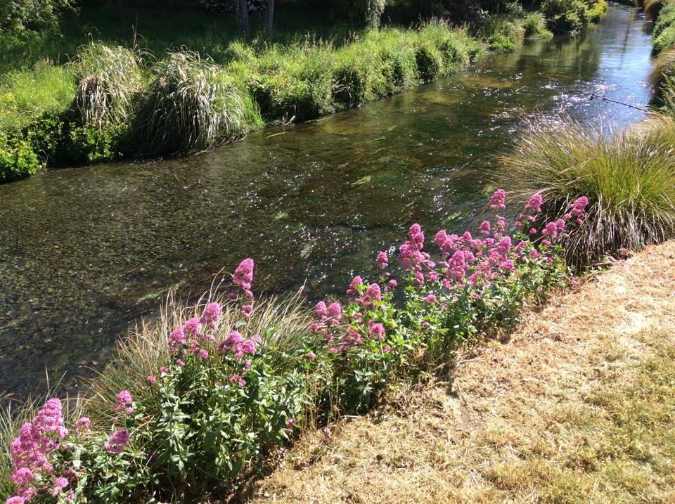 Christchurch in springtime is full of magic