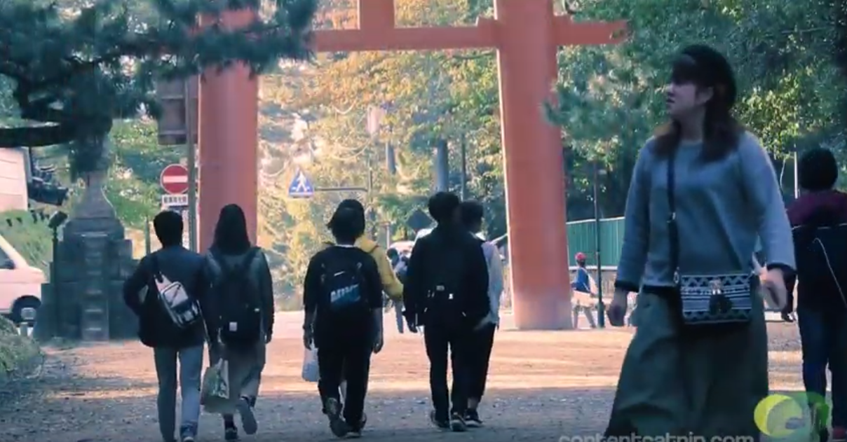 Travel: A curious history of Nara's holy deer