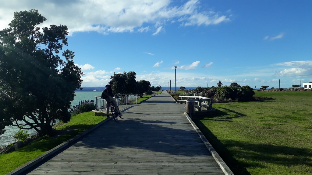 Travel: Napier's remote beaches and wineries by bike