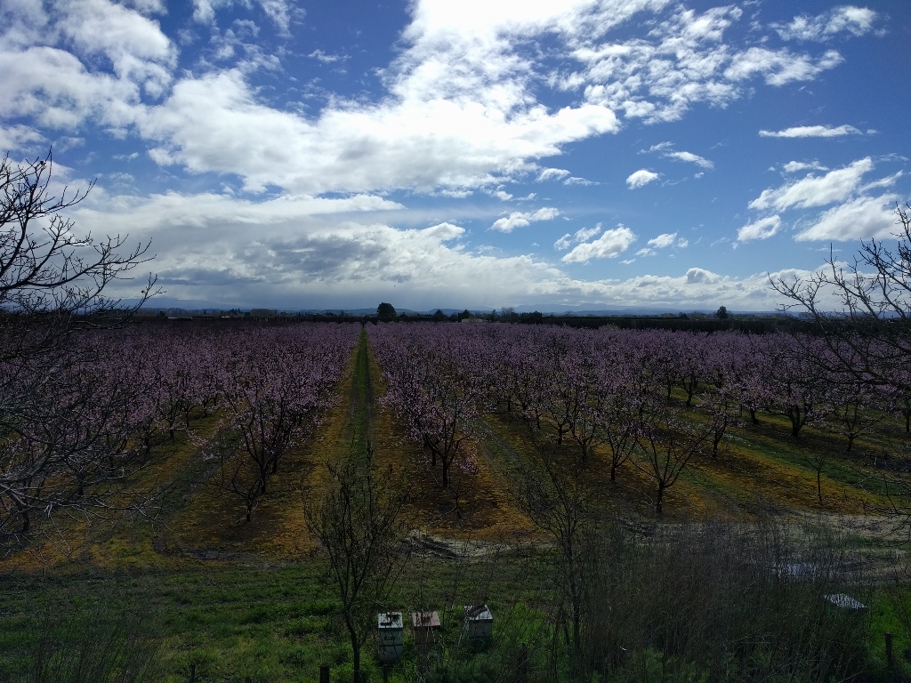 Travel: Napier's remote beaches and wineries by bike