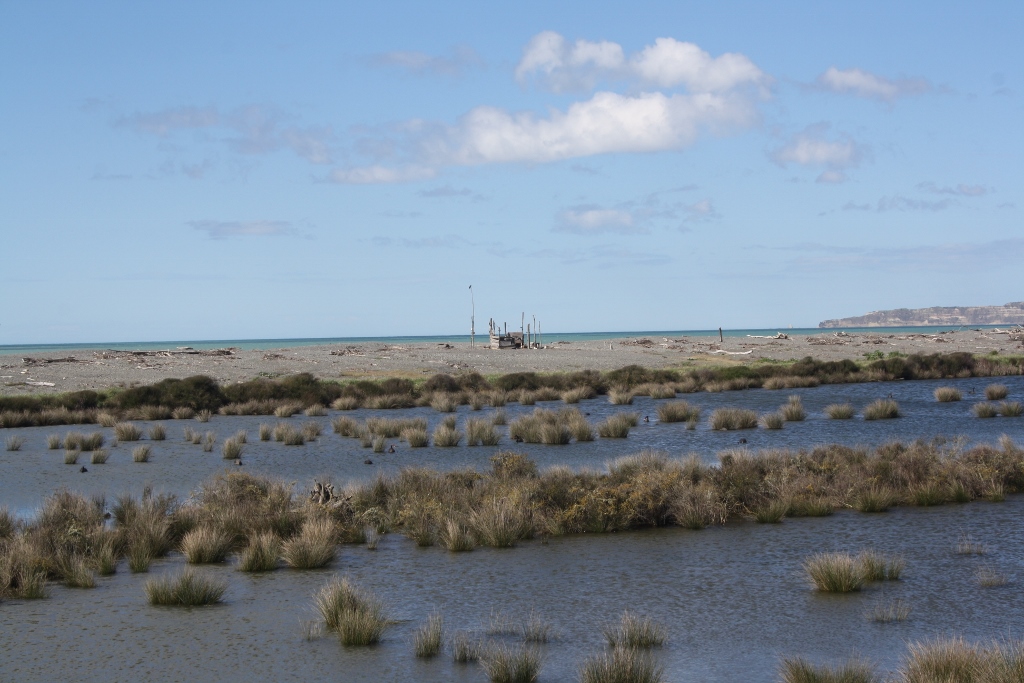 Travel: Napier's remote beaches and wineries by bike