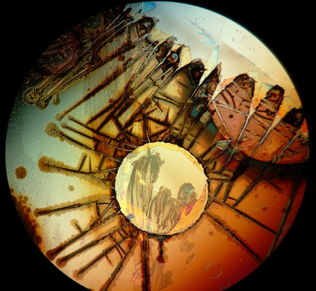 Oxidised metal films photographed using a microscope and an Amazon Fire phone by Reddit user Friz Face.