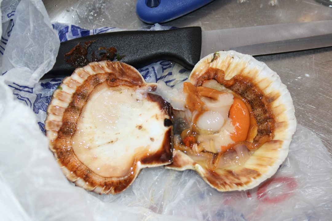 Adventures on the Isle of Skye