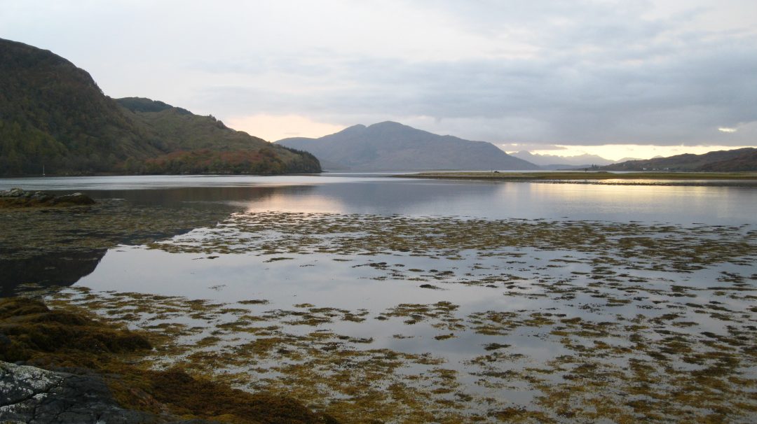 Travel: Eileann Donan Castle, Kyle of Lochalsh, Scotland. Copyright Content Catnip 2010