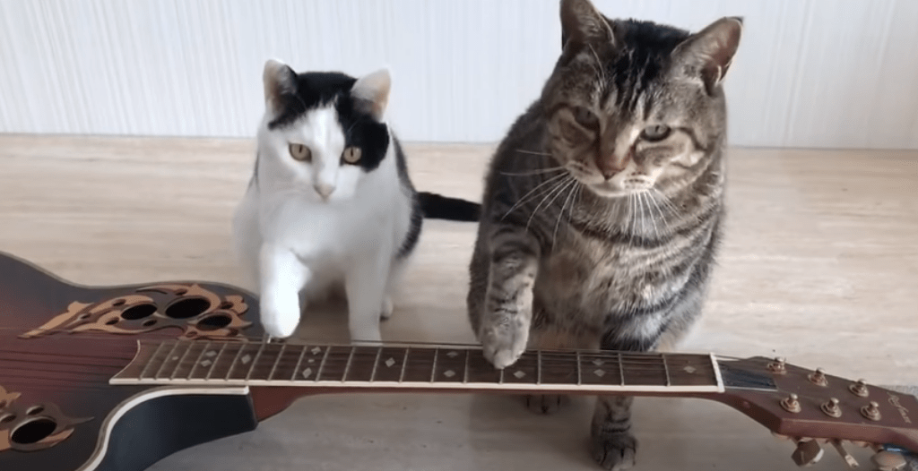 Ancient word of the day: Twankle