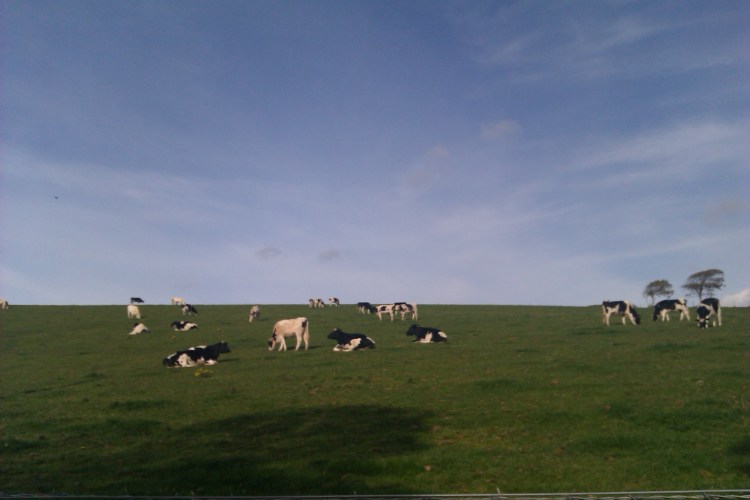 Objects With A Story. Object 1: The Tiny Book 