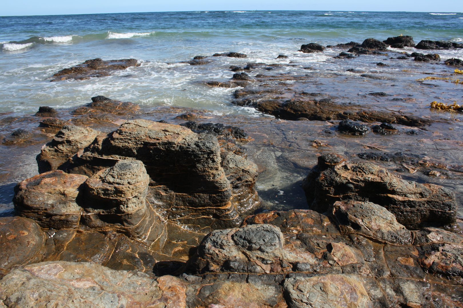 Summer in Melbourne Part 1: Mushroom Reef Sanctuary, Flinders.