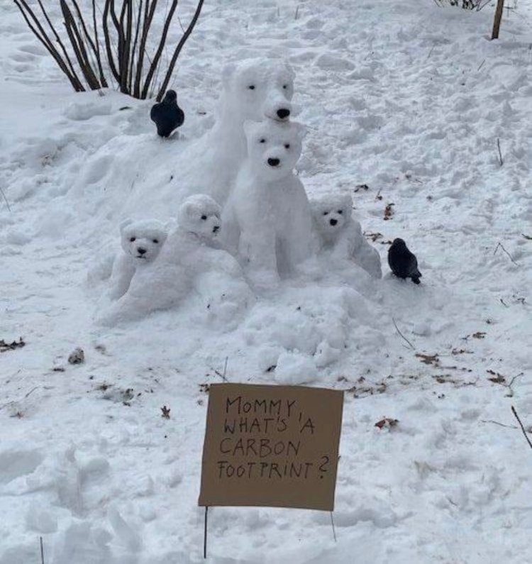 Mommy...what's a carbon footprint?