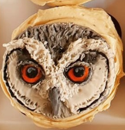 Vegan owl cupcakes