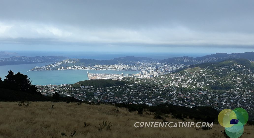 Looking down on epic Wellington from Mt Kaukau