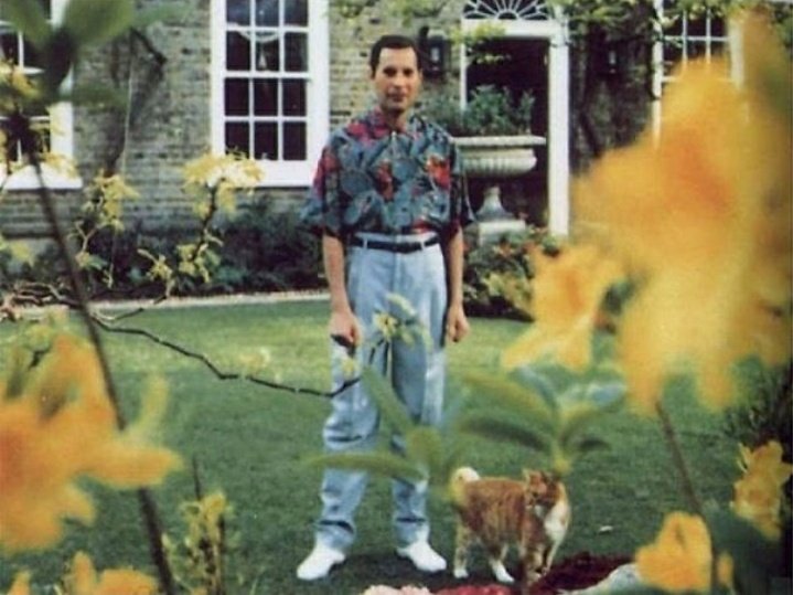 Freddy Mercury really loved his cats