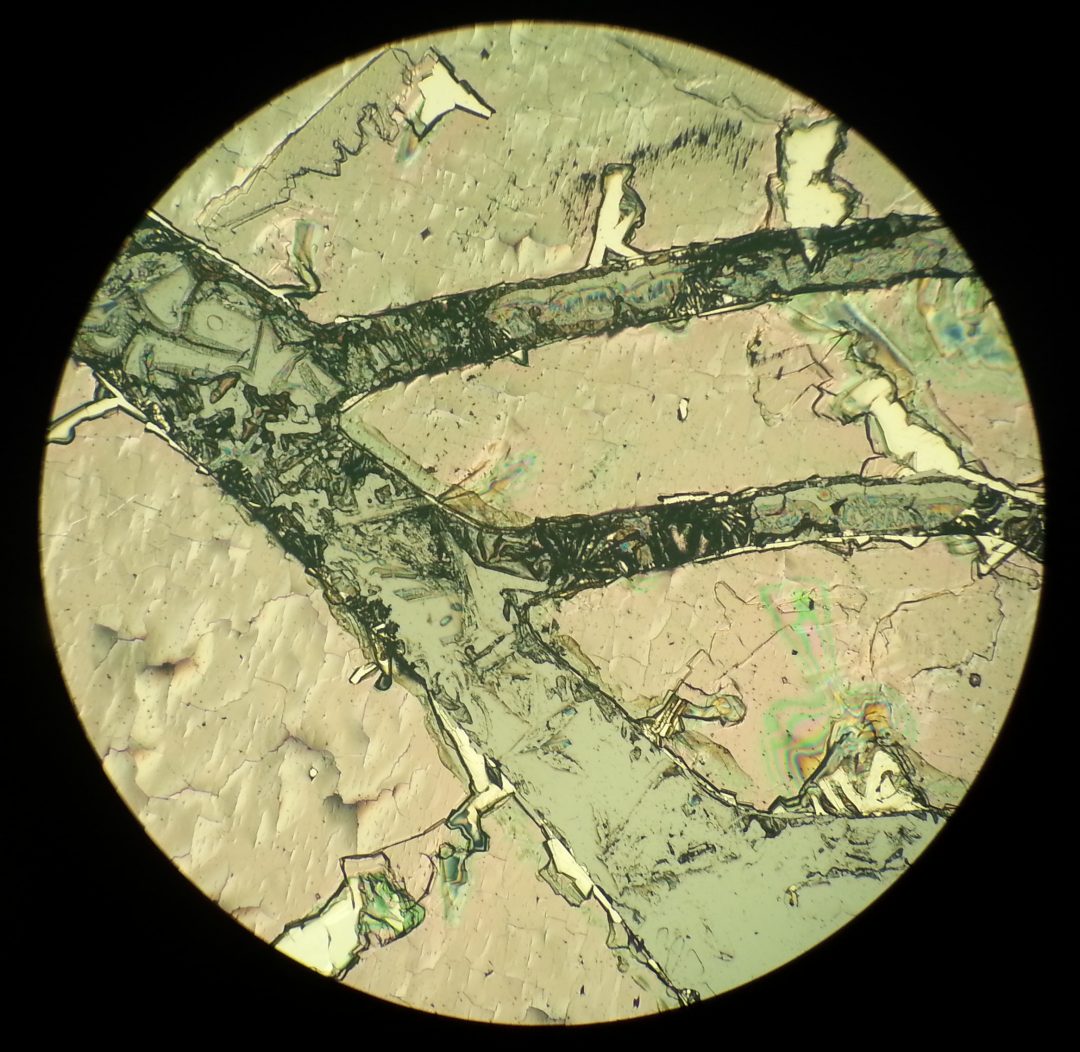 Oxidised metal films photographed using a microscope and an Amazon Fire phone by Reddit user Friz Face.