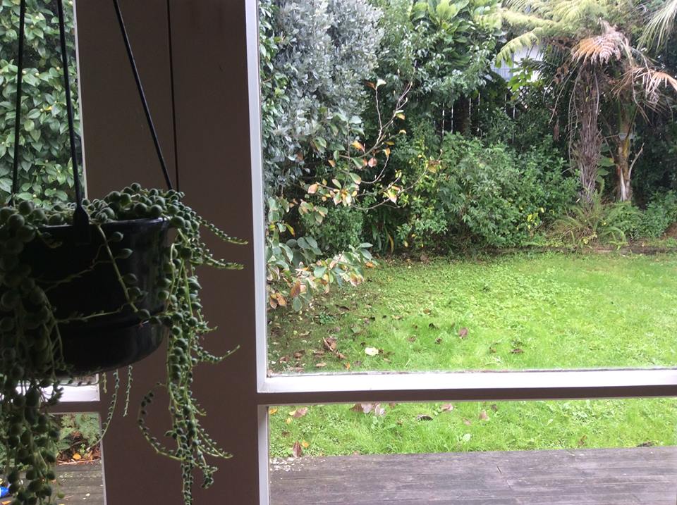 Food: Autumn's bounty and feijoa relish