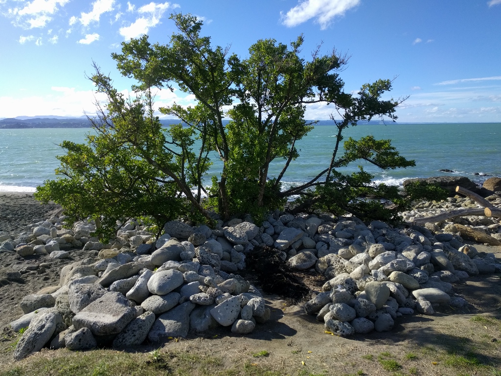 Travel: Napier's remote beaches and wineries by bike