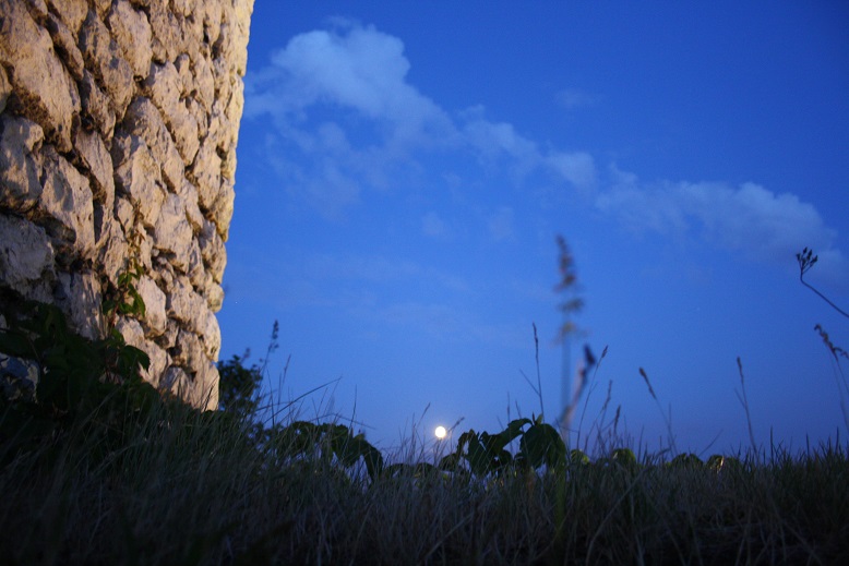 Celestial ceilings and soaring skies in Poland