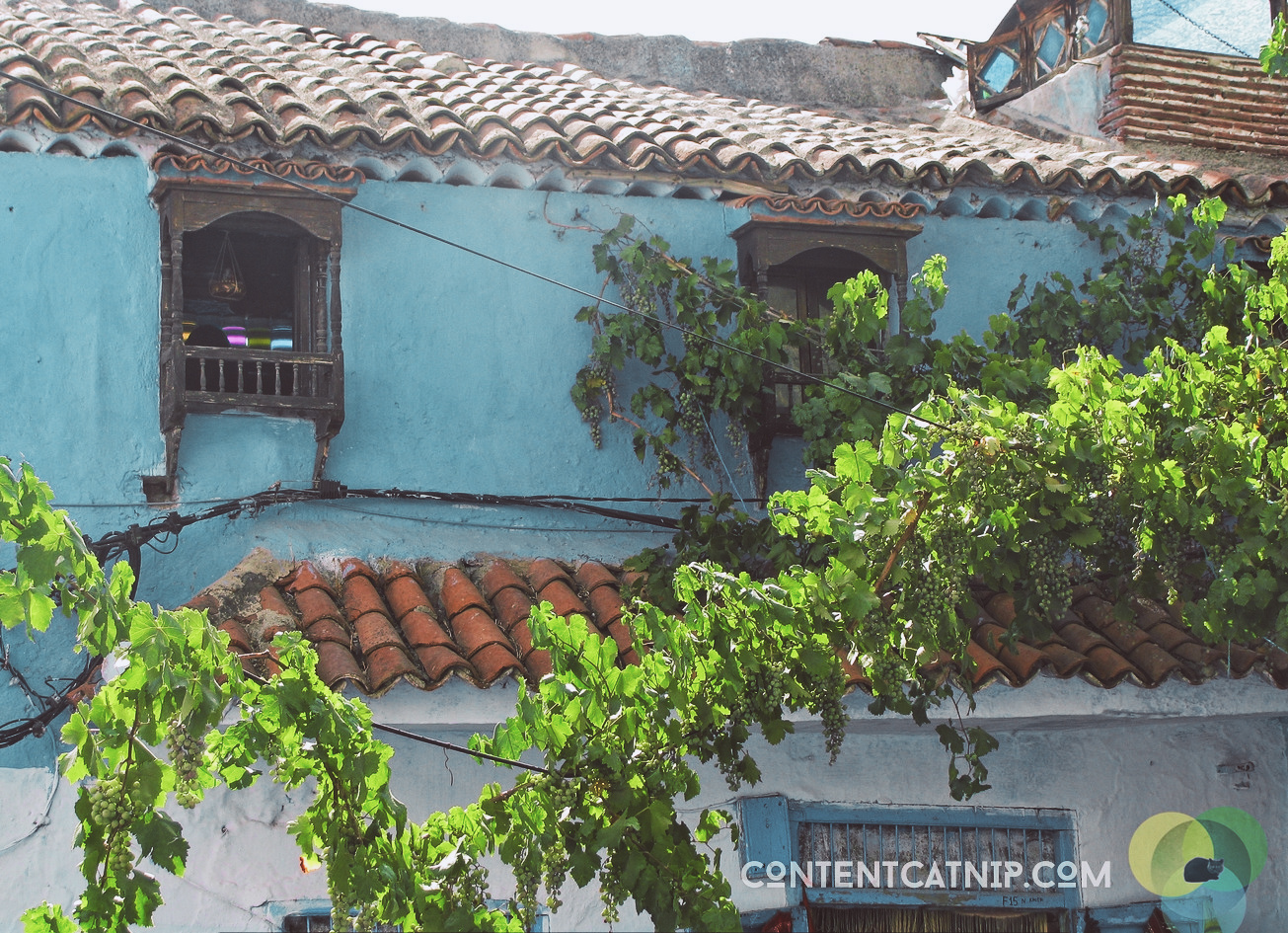 Copyright © Content Catnip 2009 www.contentcatnip.com