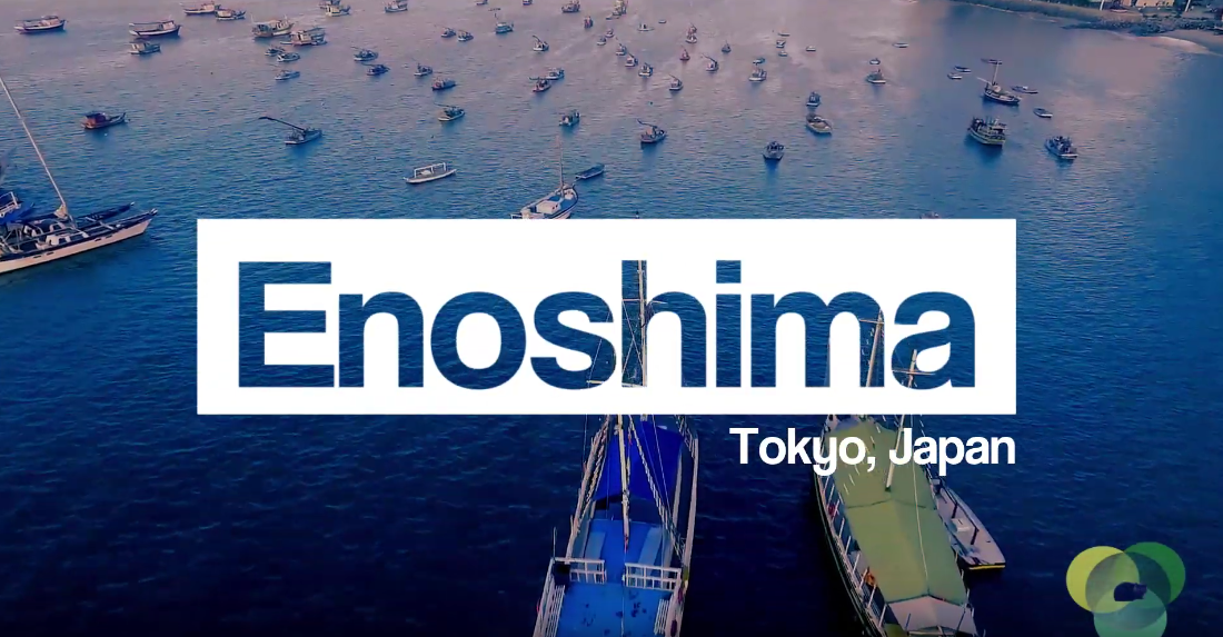 Enoshima Dreaming on Content Catnip TV