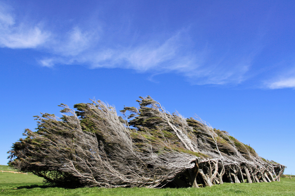 Welcome To The End Of The World - And It's Amazing