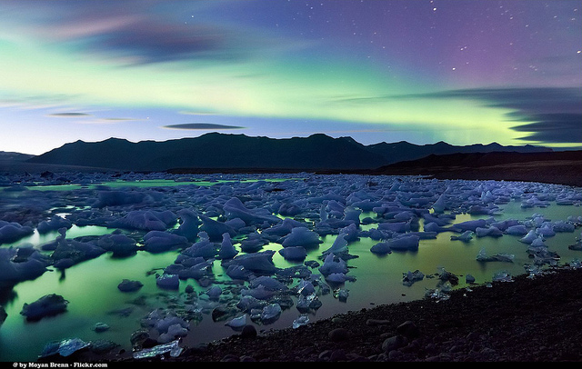 Maya Angelou: Leader of the Brave and Defiant