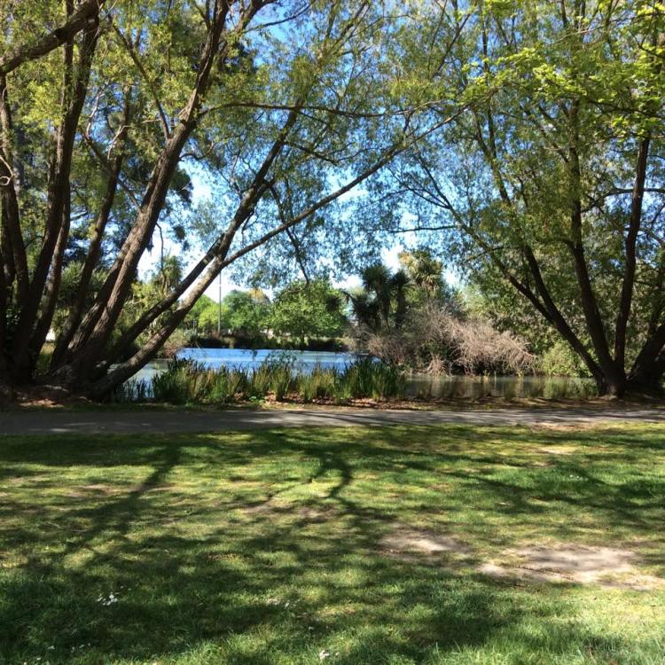 Christchurch in springtime is full of magic 