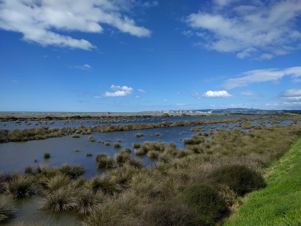 Travel: Napier's remote beaches and wineries by bike
