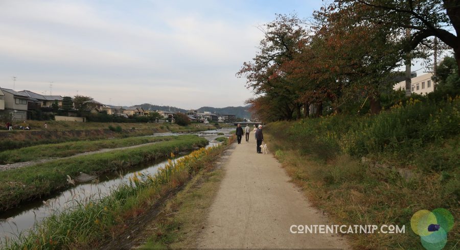 Travel: Cycling adventures along the Kamo river, Kyot