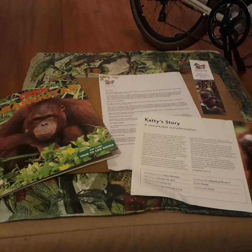 How you can help save the Critically Endangered Orangutans of Borneo