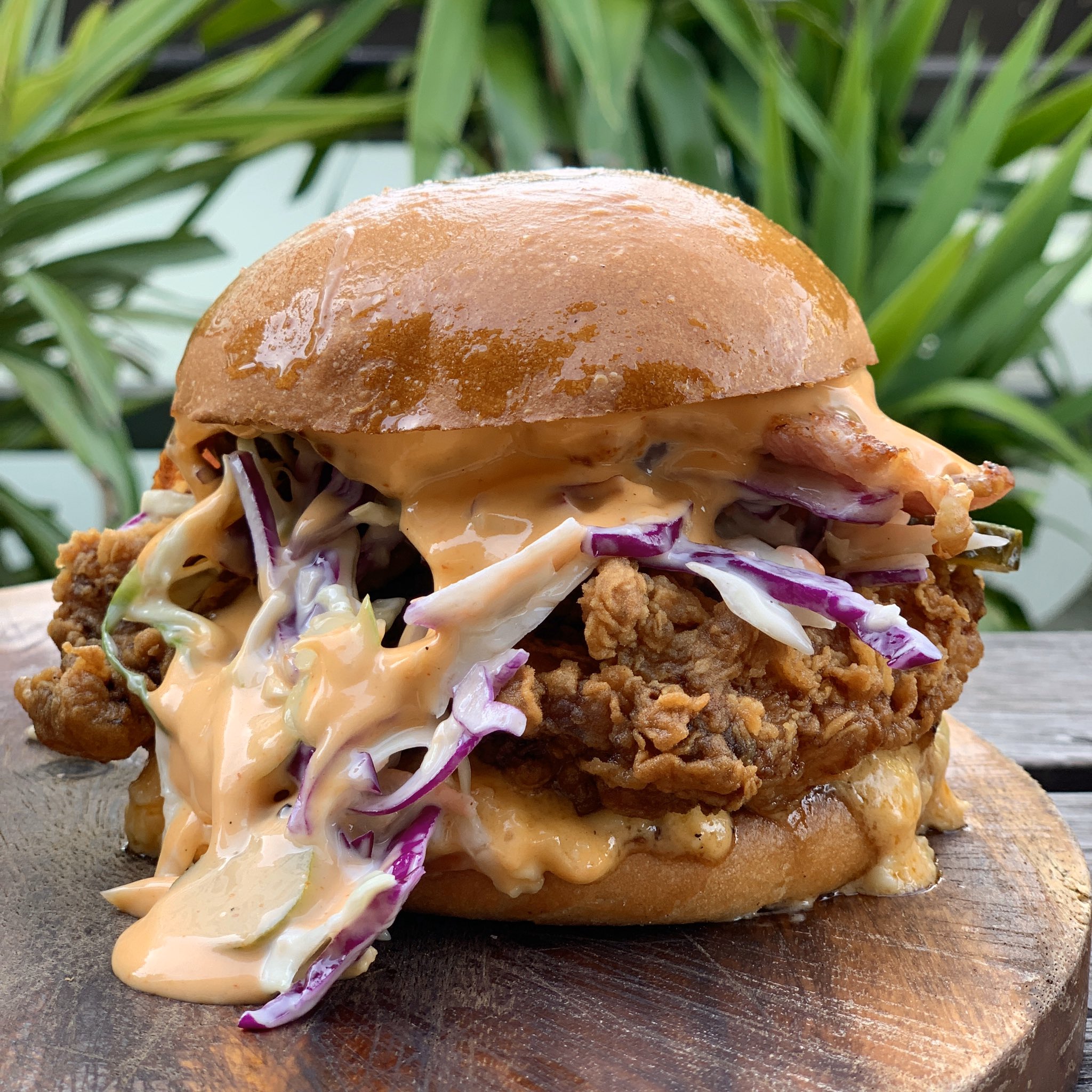 Affordable and Mind Blowing Places to Eat in Wellington New Zealand (from a local) Fork and Brewer