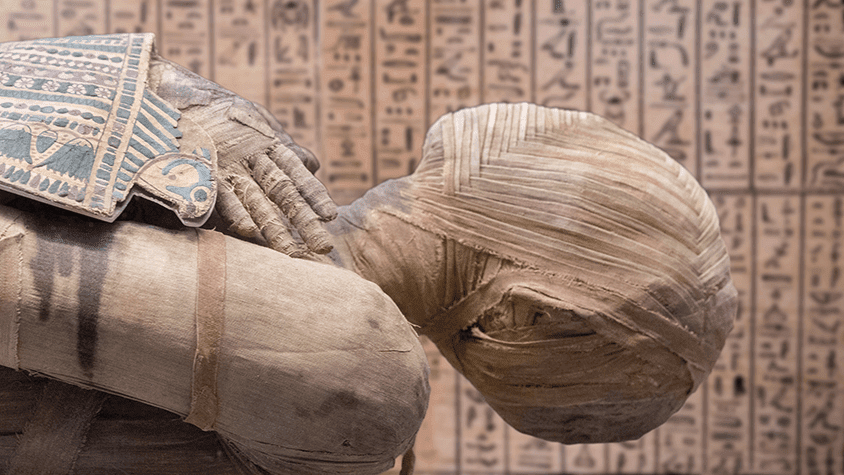 The hunger for mummies in Edo period Japan
