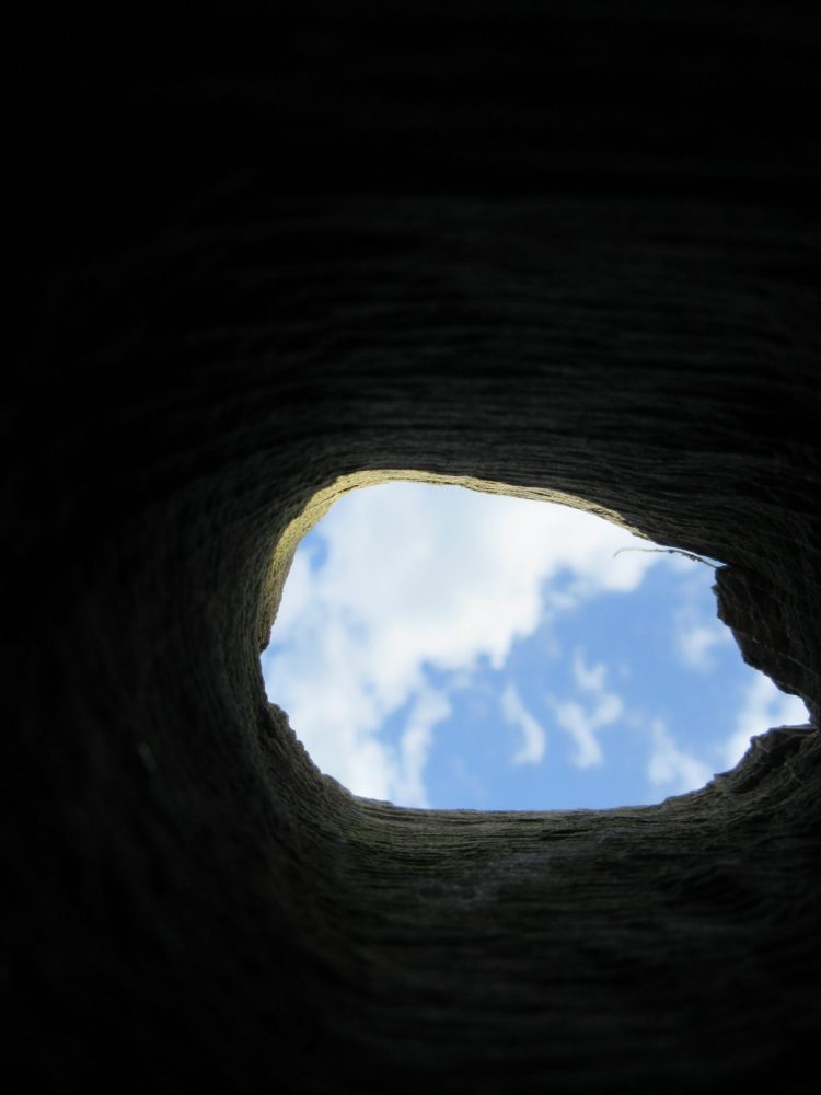 Maria through the hagwood