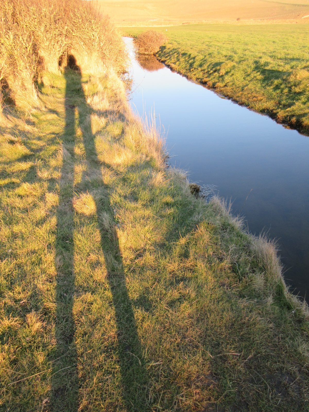 Artists & Writers in their Own Words: Maria Strutz