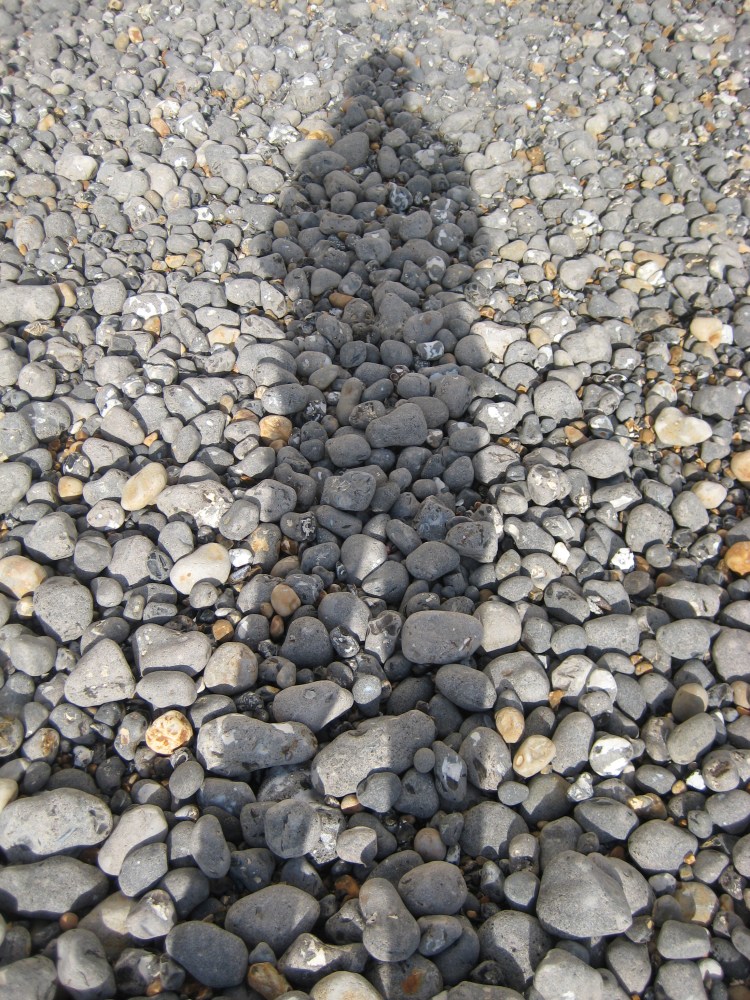 Artists & Writers in their Own Words: Maria Strutz