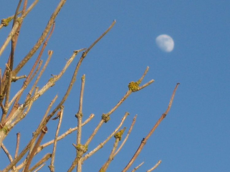 Moon during the day time. Artists & Writers in their Own Words: Maria Strutz