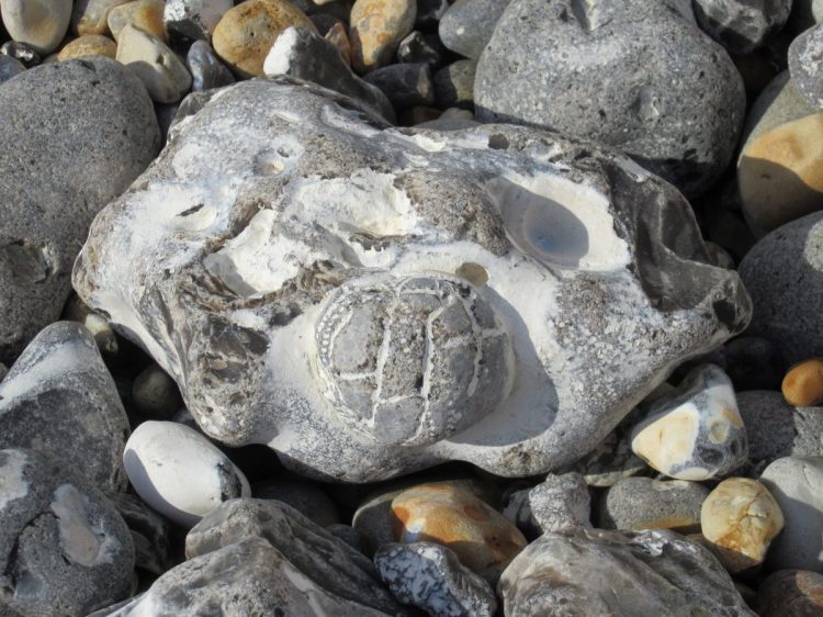 Stones of Hope - Artists & Writers in their Own Words: Maria Strutz