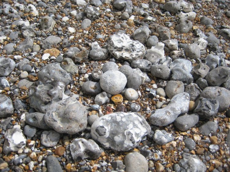 Stones of Hope - Artists & Writers in their Own Words: Maria Strutz