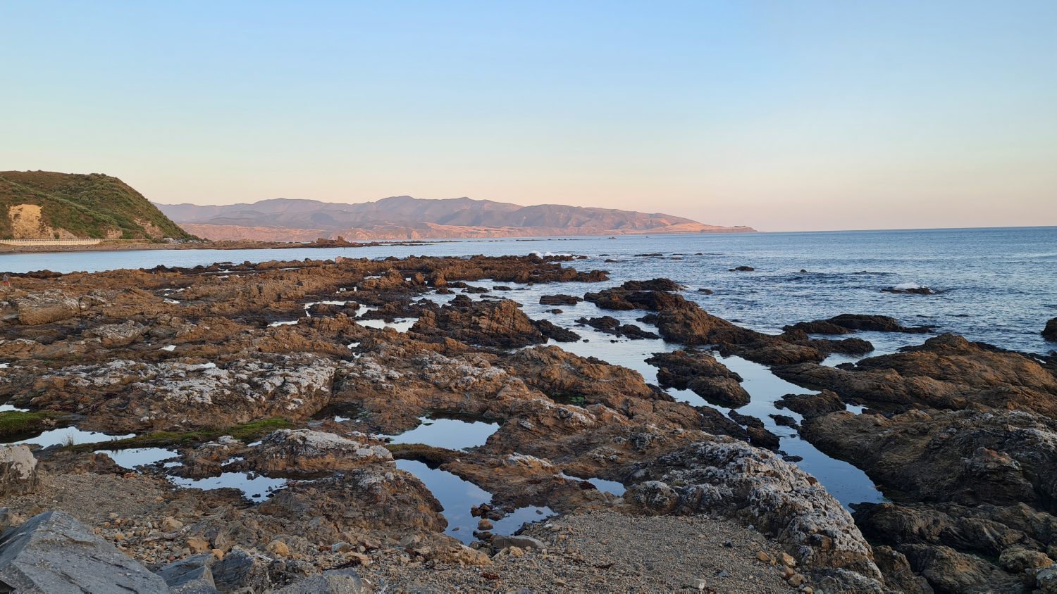 Wellington coast at dusk, copyright Content Catnip 2021