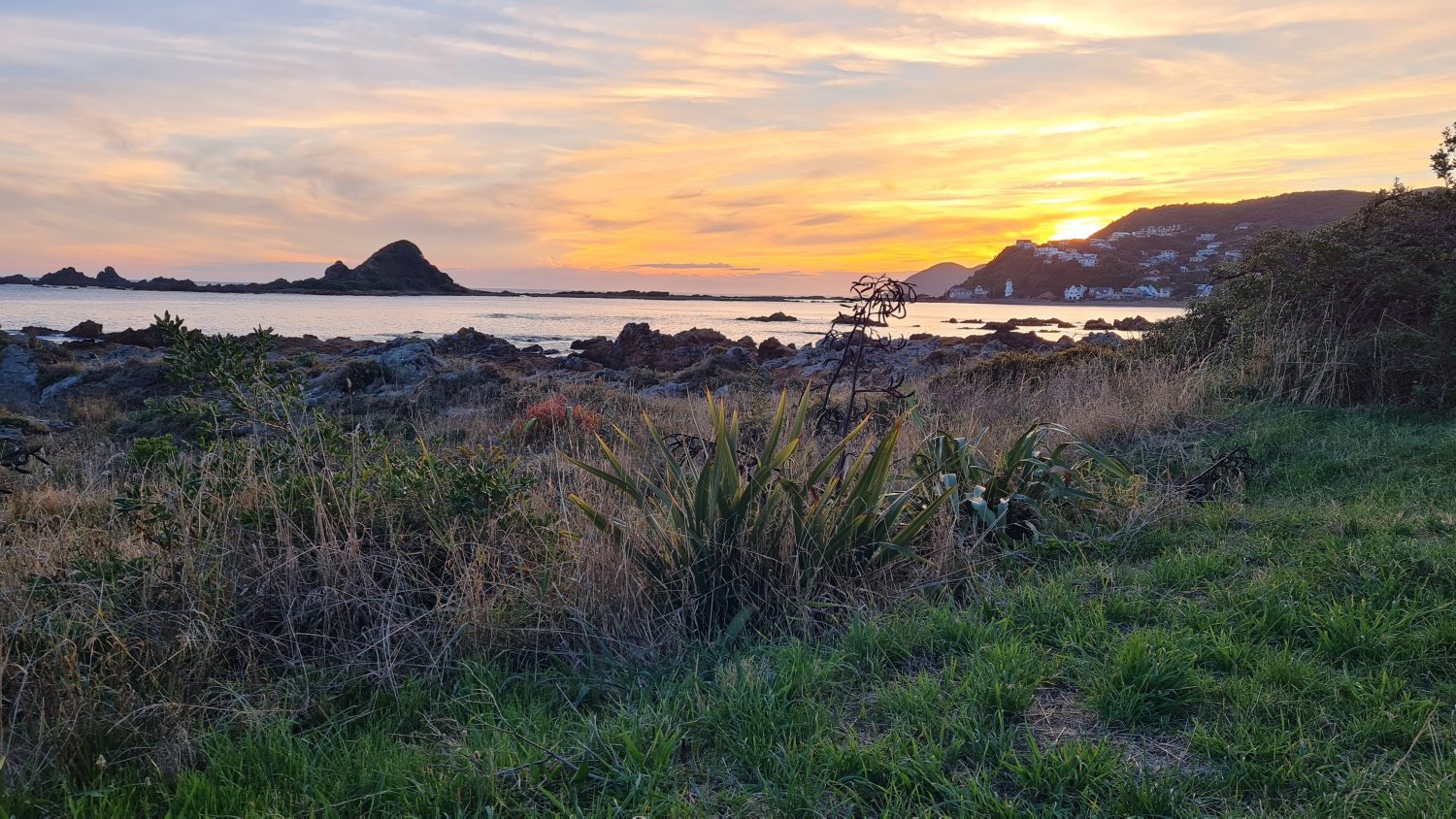 Wellington coast at dusk, copyright Content Catnip 2021
