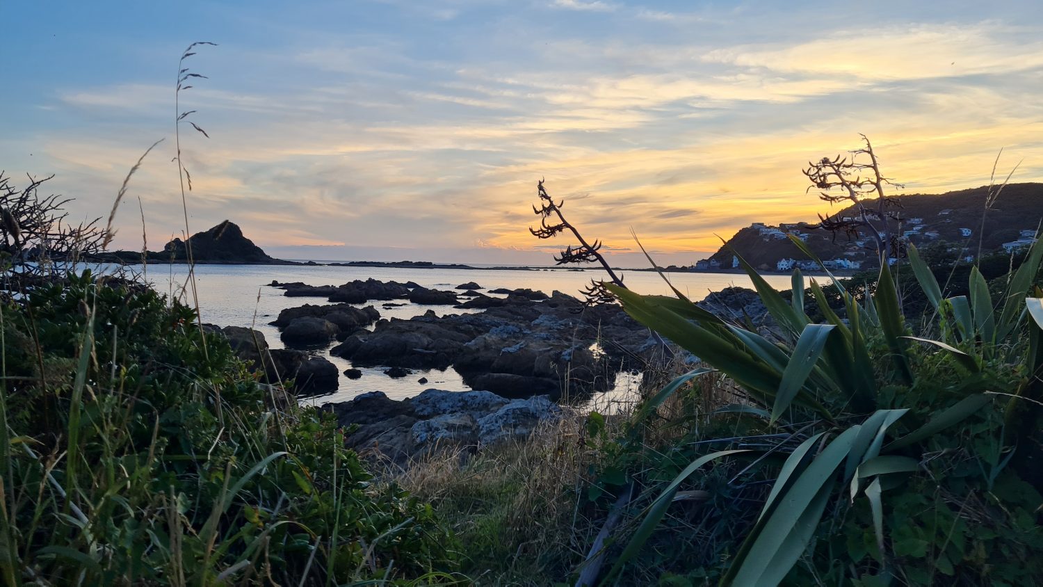 Wellington coast at dusk, copyright Content Catnip 2021