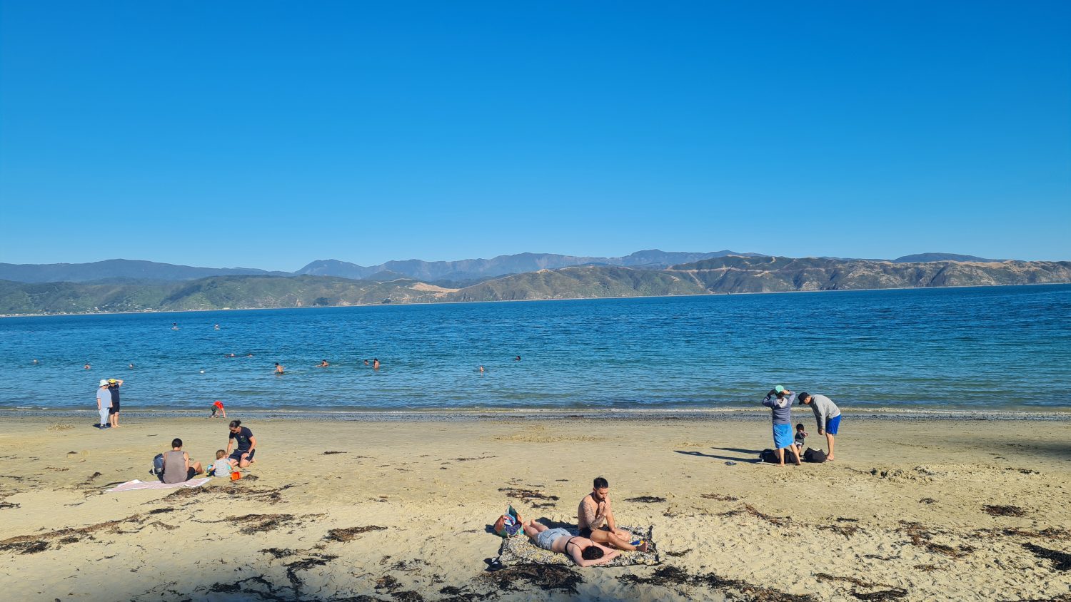 Scorching bay beach, Wellington, copyright Content Catnip 2021