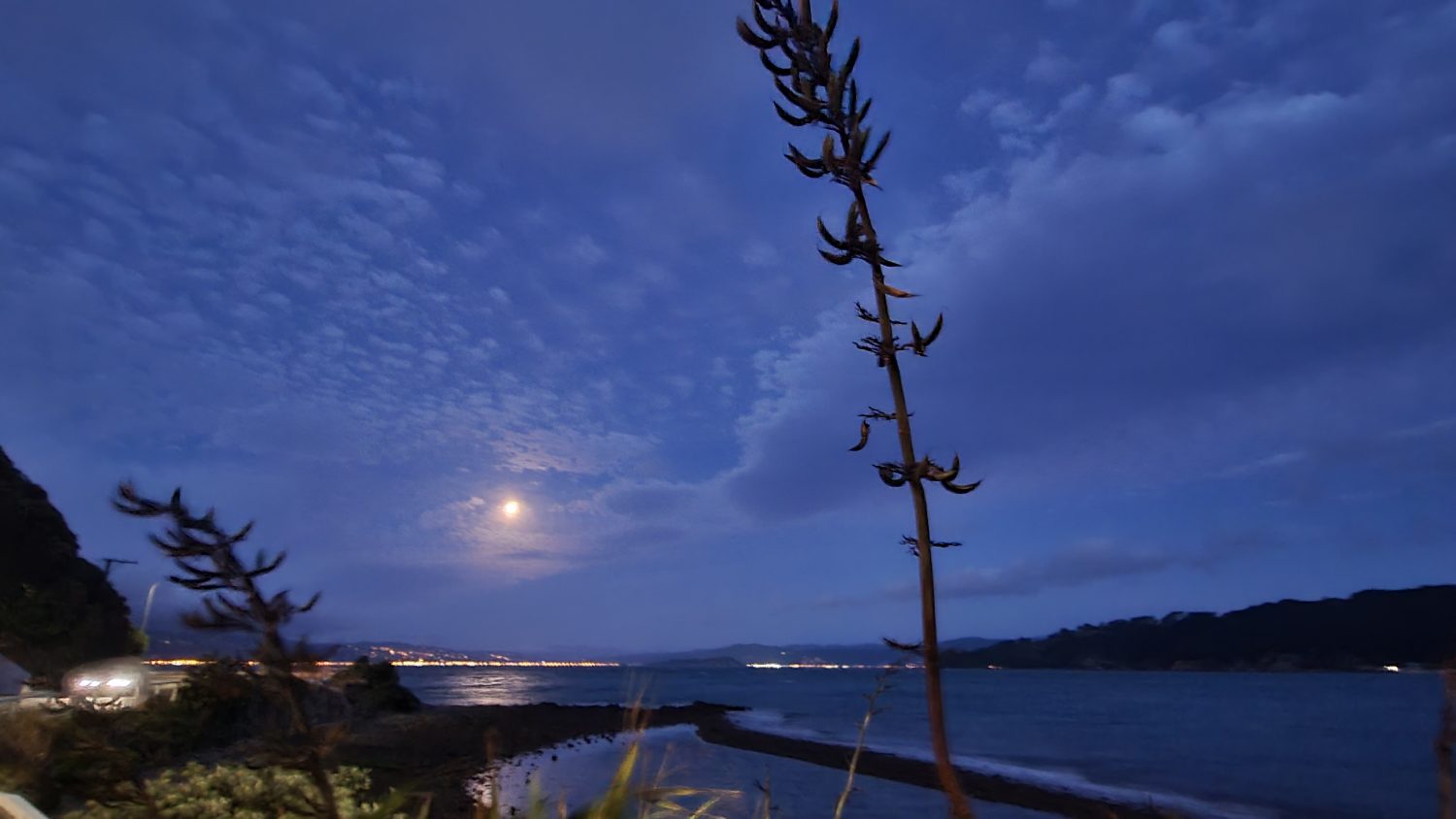 Wellington at night copyright Content Catnip 2021