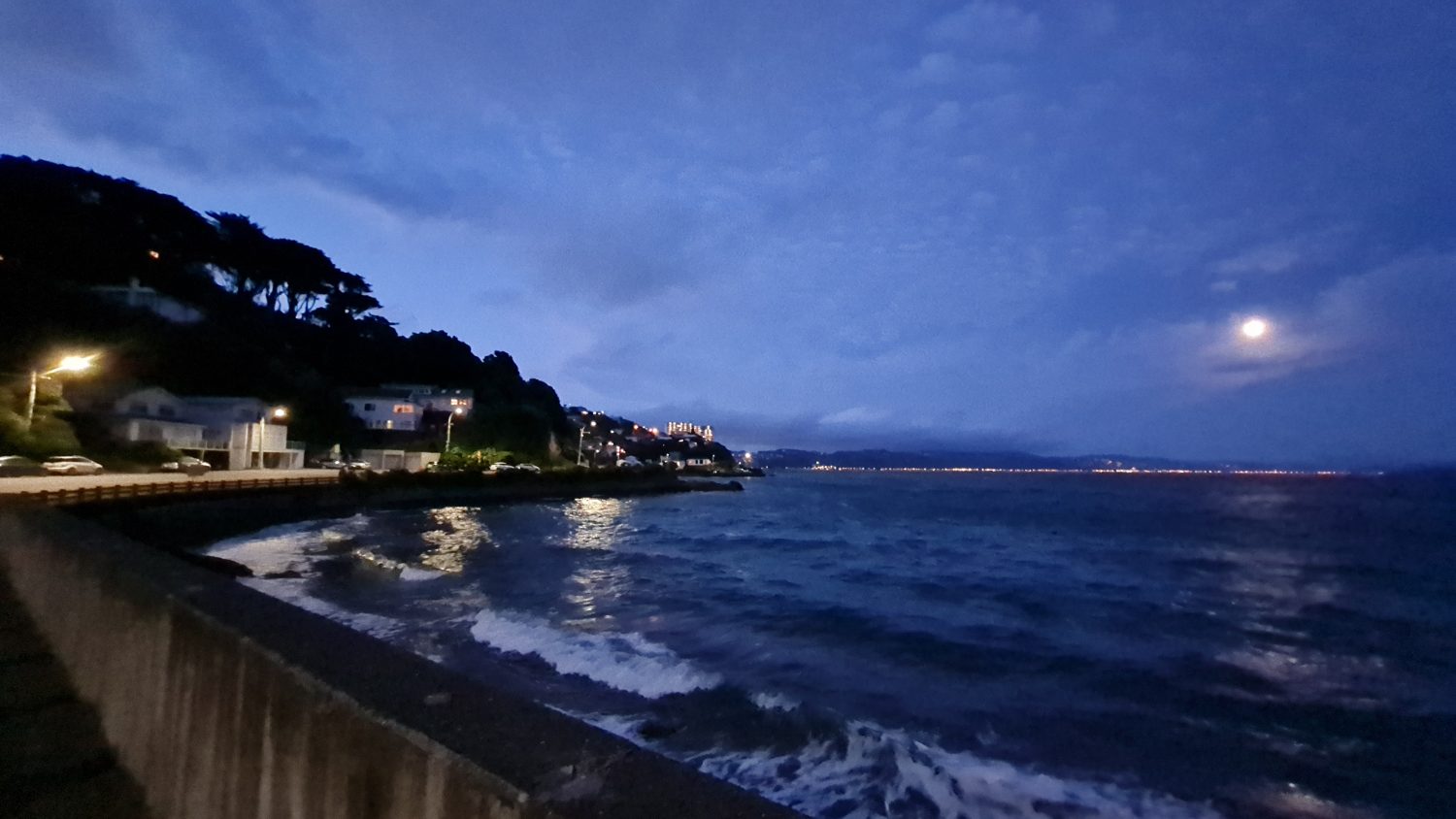 Wellington at night copyright Content Catnip 2021