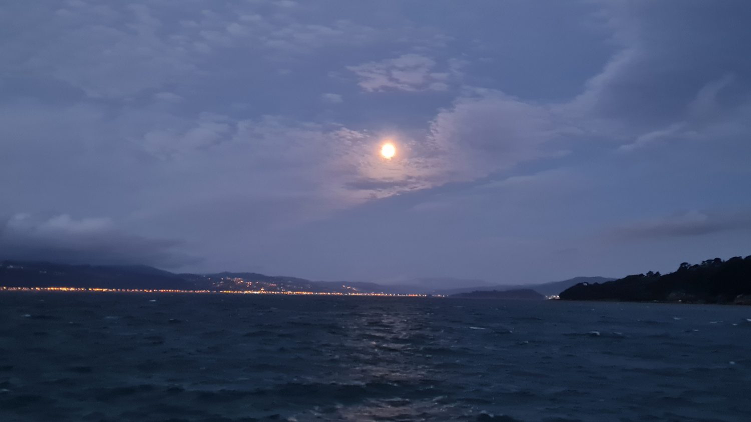 Wellington at night copyright Content Catnip 2021