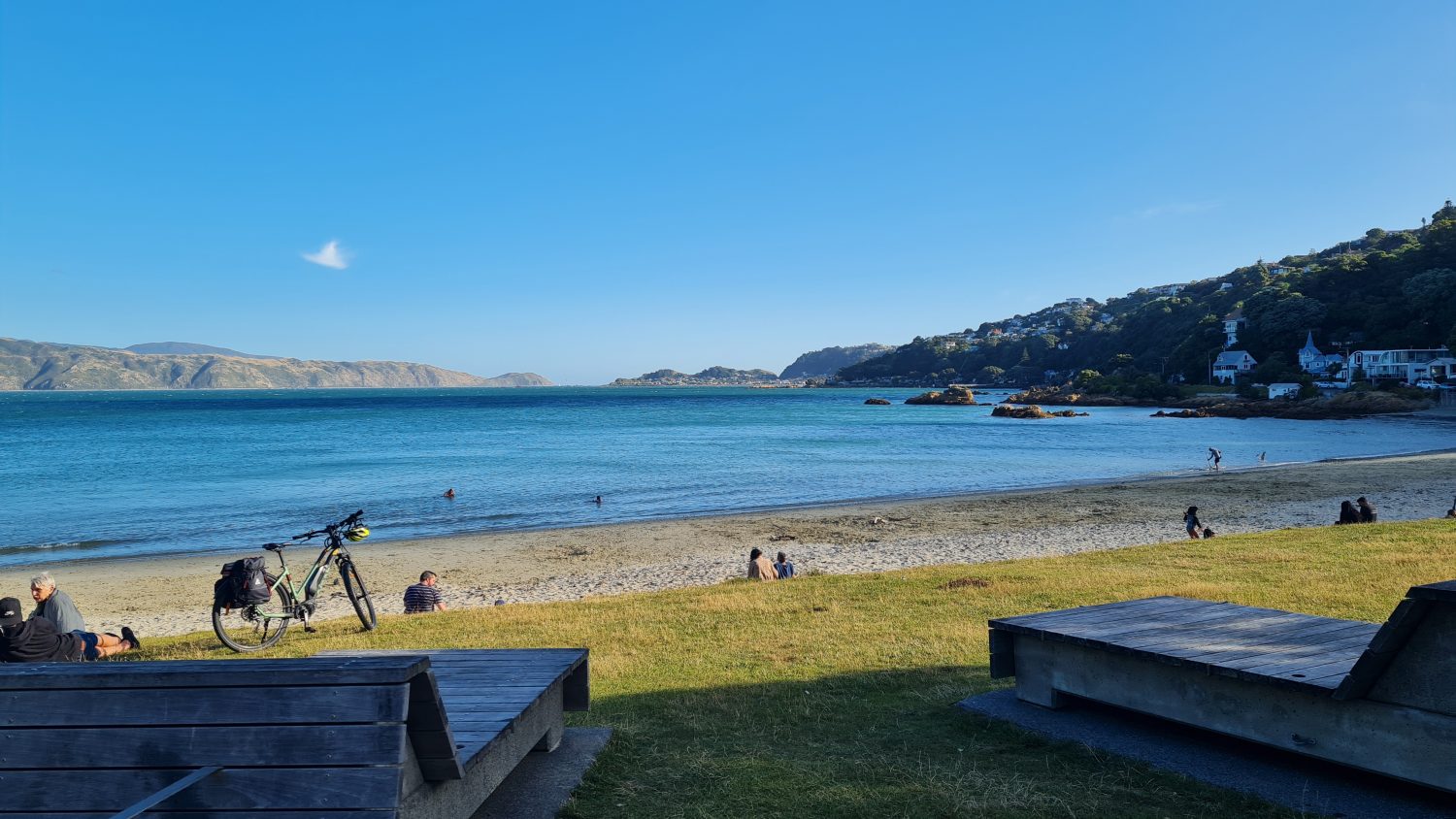 Scorching bay beach, Wellington, copyright Content Catnip 2021