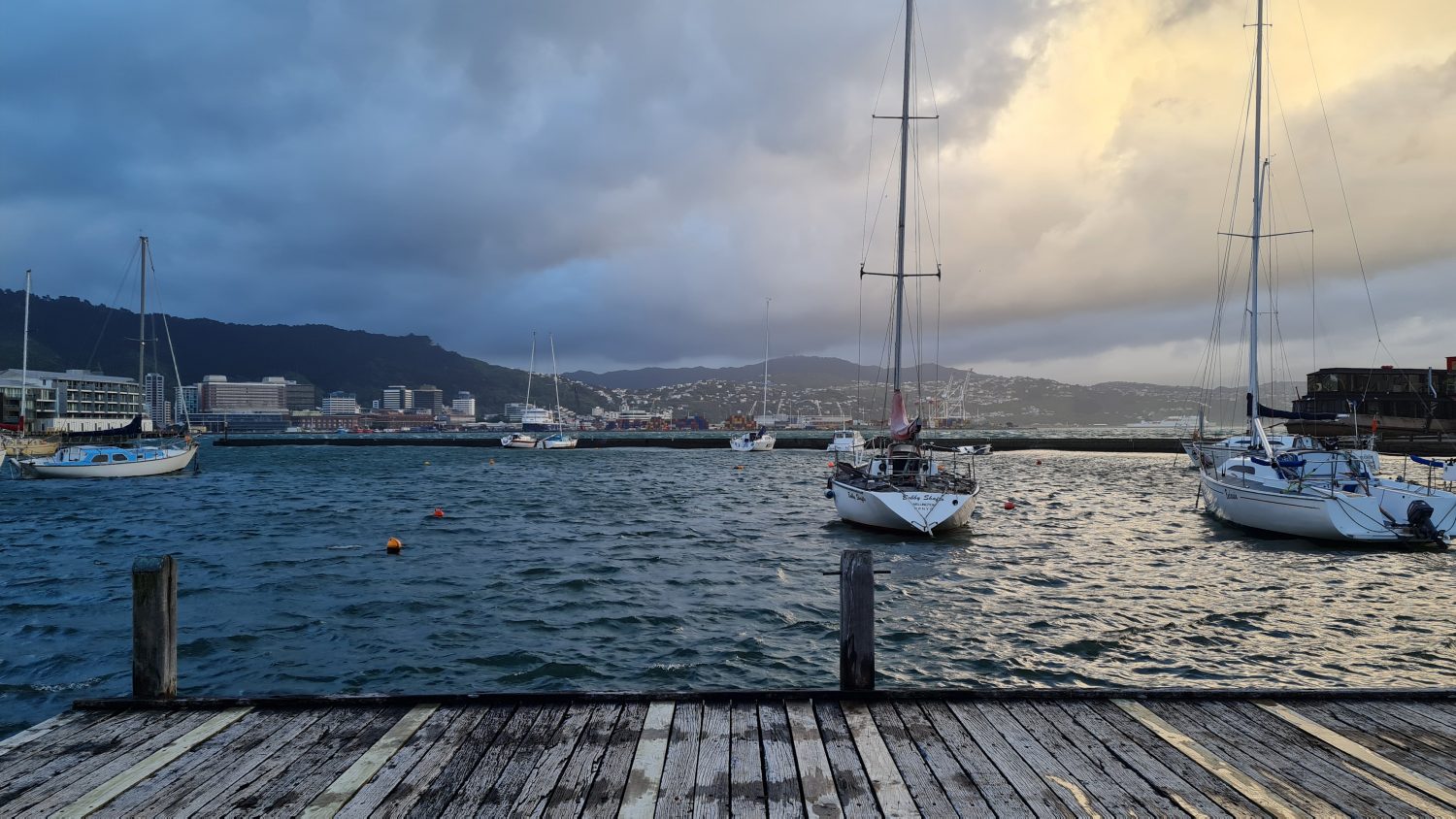 Wellington coast at dusk, copyright Content Catnip 2021