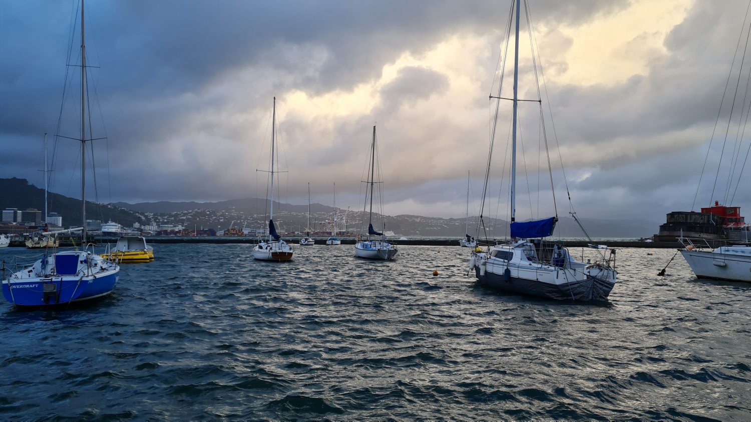 Wellington coast at dusk, copyright Content Catnip 2021