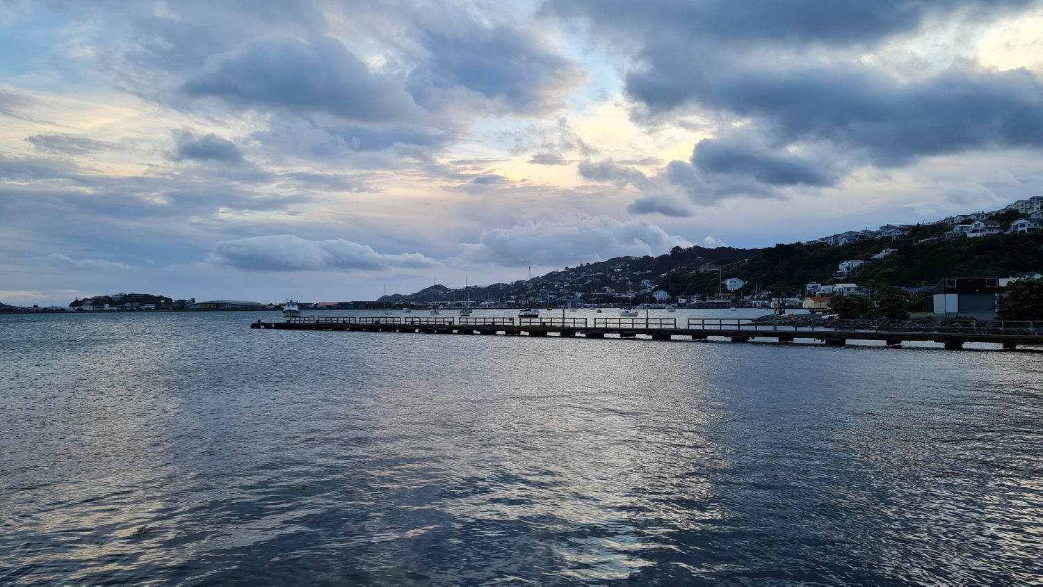 Wellington coast at dusk, copyright Content Catnip 2021