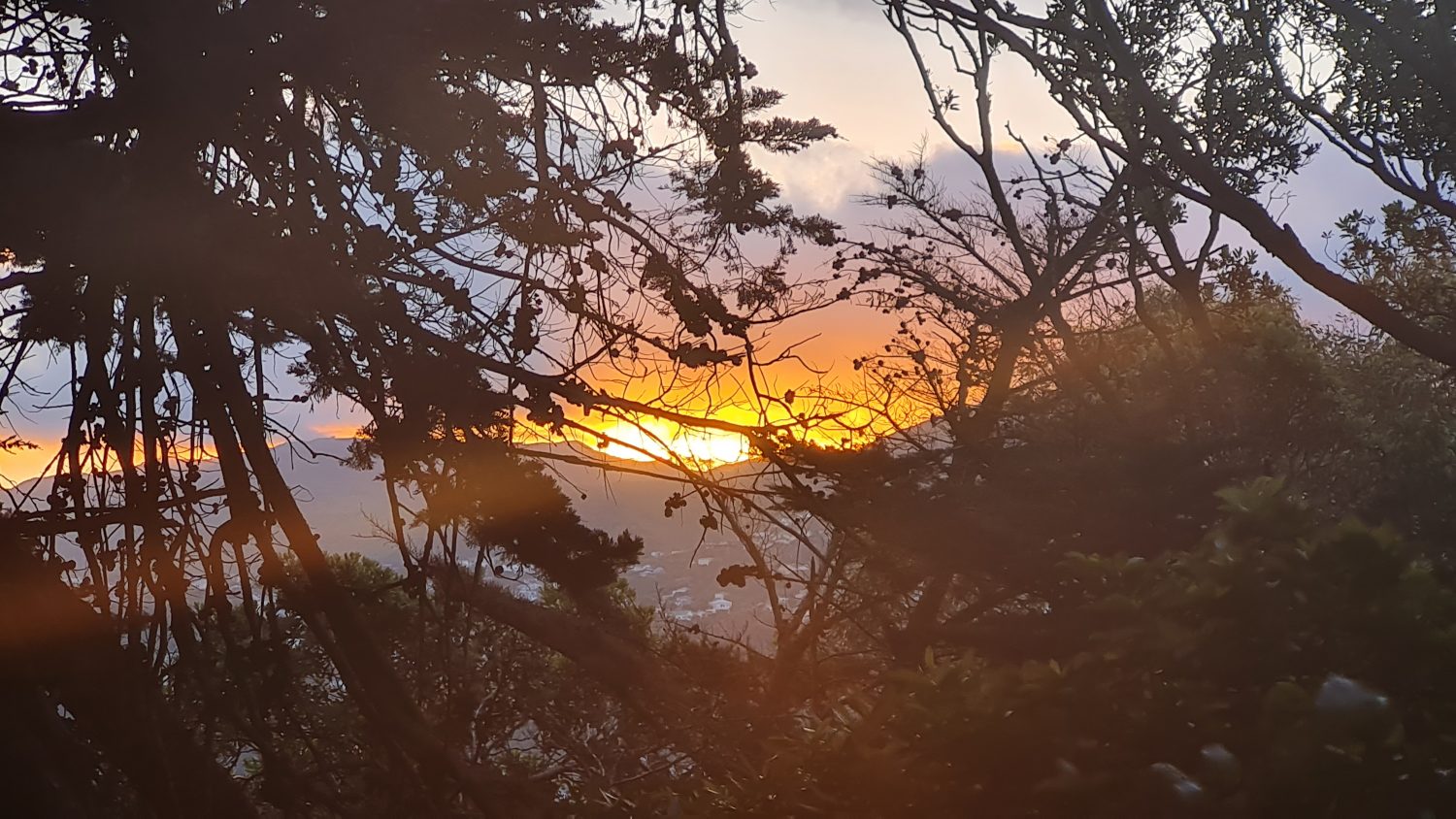 Wellington at night copyright Content Catnip 2021