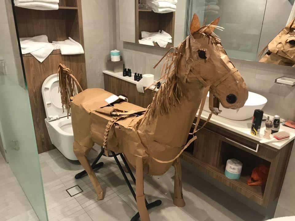 A cardboard horse named Rustle and his cardboard-clad owner ponder their existence in hotel quarantine in Sydney